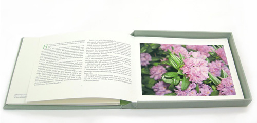 anthroptic_open_med