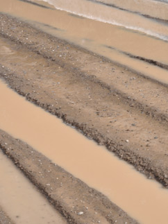 This is the road to the house. A *little* muddy.