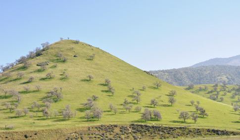 green hills