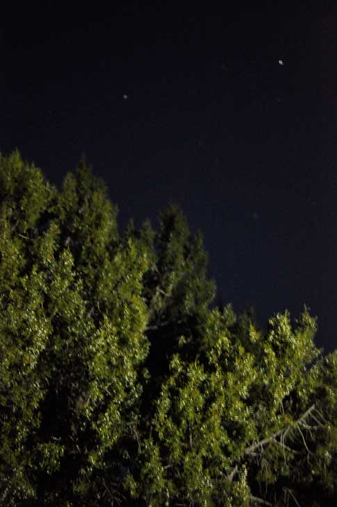 utahnight