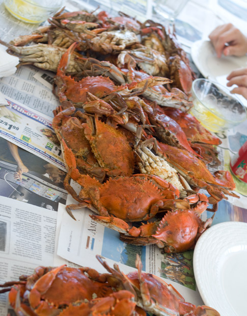 crabs